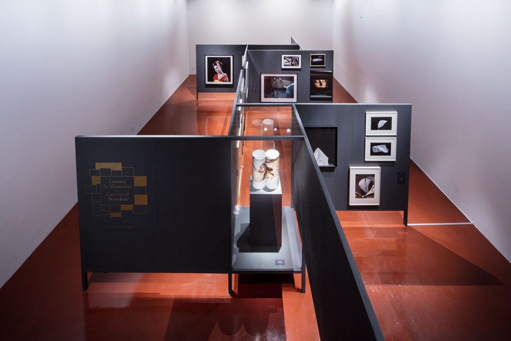 Camera of Wonders, 2015. Installation view at Centro de la Imagen, Mexico City.