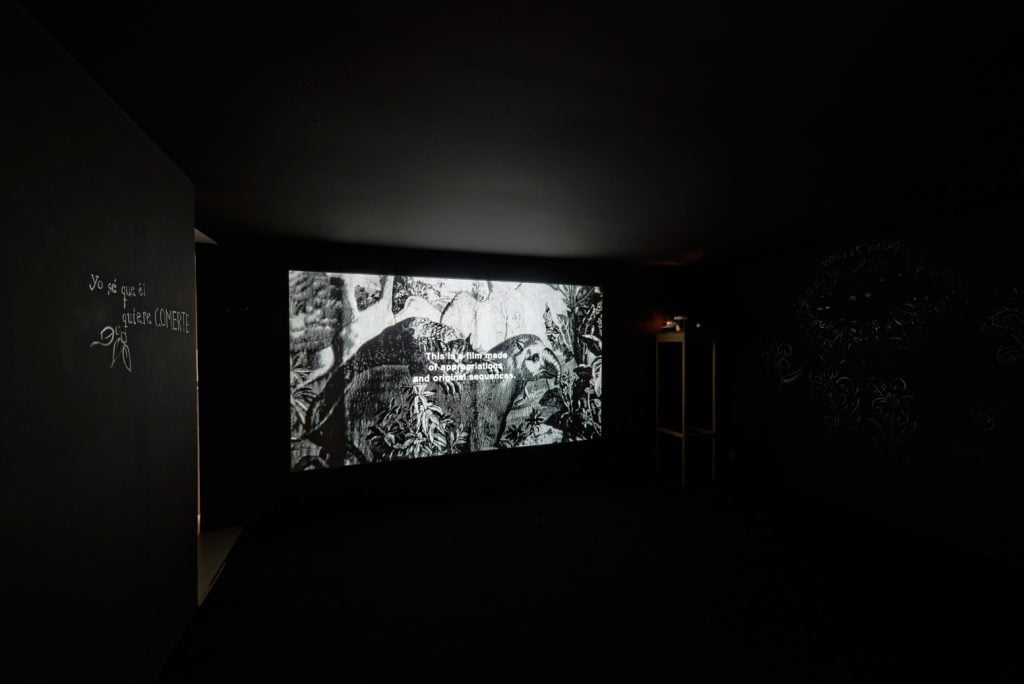 Canibalia, exhibition view, 2015