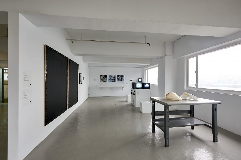 Installation view of Soil and Stones, Souls and Songs, 2017, presented by Para Site, Hong Kong. Co-produced with KADIST (Paris/San Francisco). Photo and courtesy Para Site, Hong Kong.