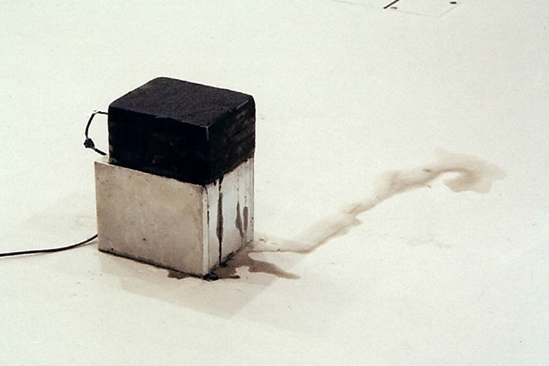 Kitty Kraus, Untitled, 2008. Installation.