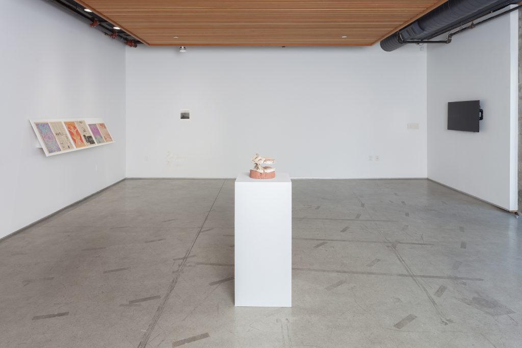 Installation view