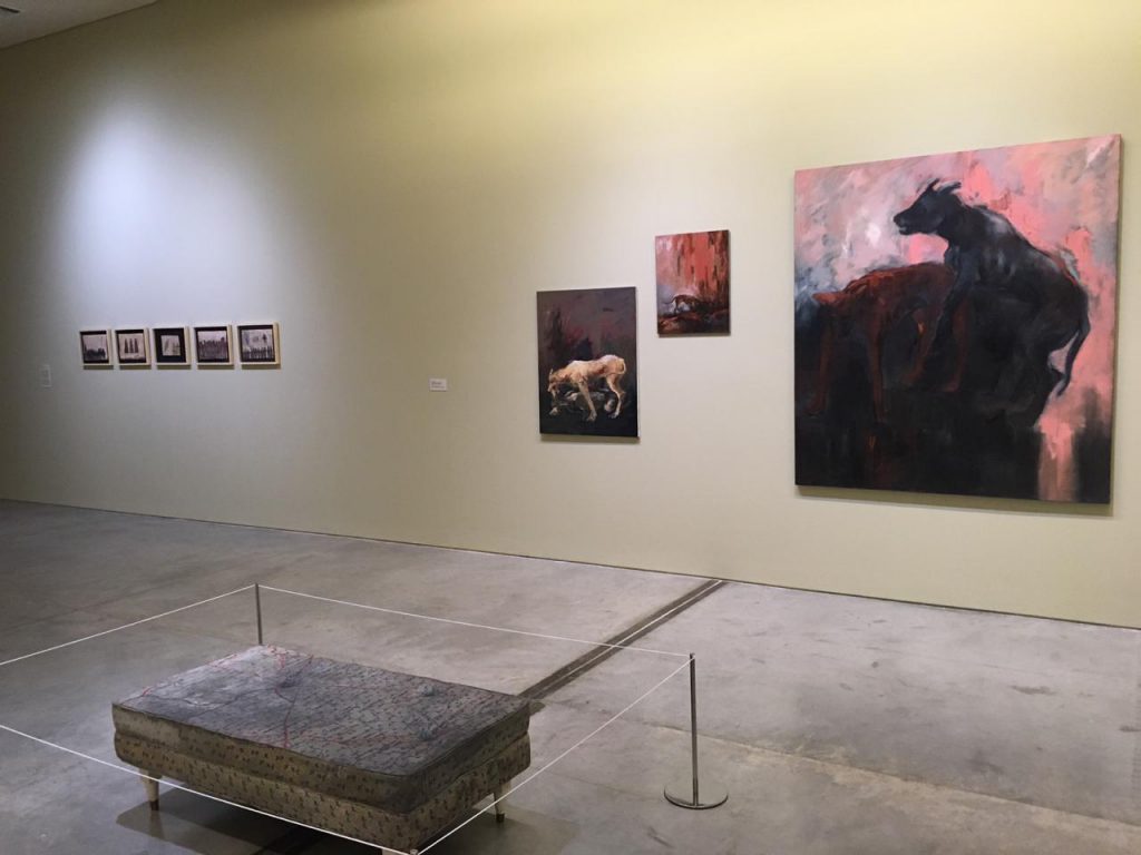 Installation View Museo de Arte Moderno de Medellín (MAMM)