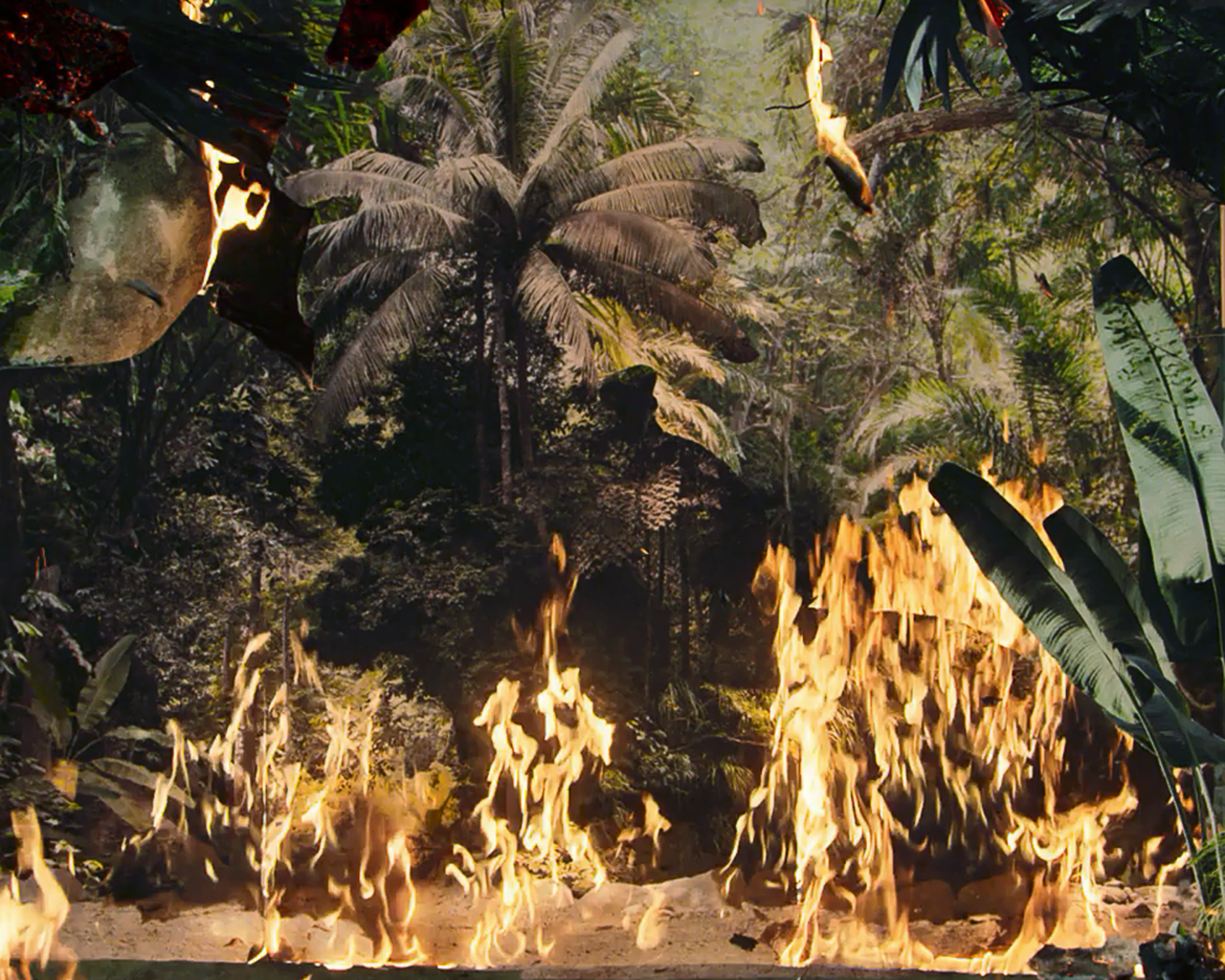 Fire Walks