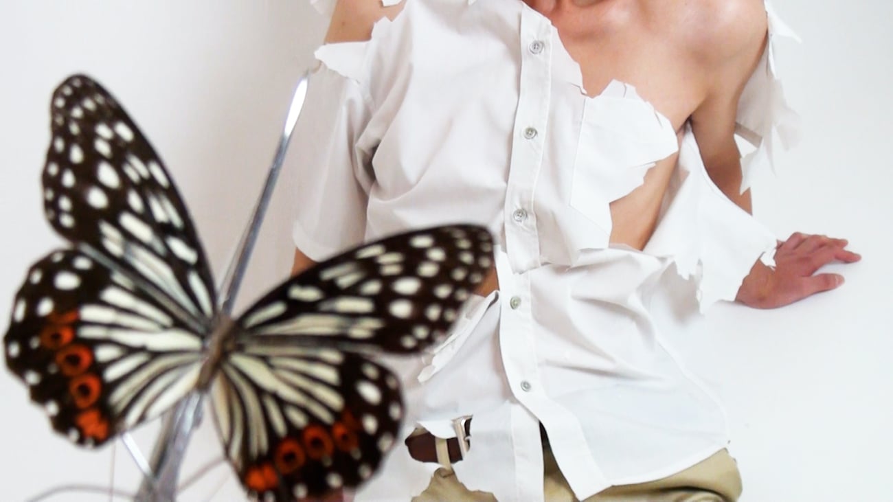 Fuyuhiko Takata: Bodies in Bloom