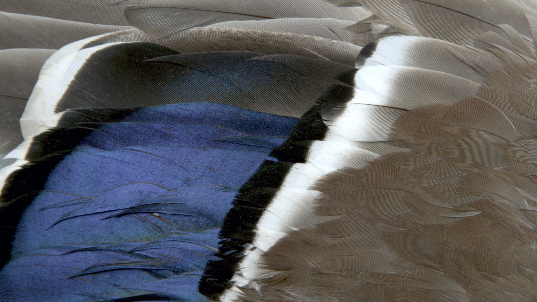 Enar de Dios Rodríguez, Above All (2025), video still